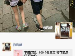 -翊宠yipet猫狗购宠庄园犬舍•猫舍