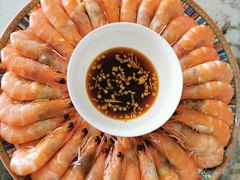 -天鹅到家·保姆月嫂育儿嫂(朝阳店)