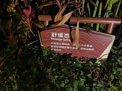 -碧桂园润杨溪谷温泉酒店