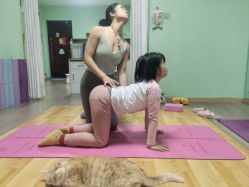 -齐伽生活馆·瑜伽·普拉提·阿育吠陀