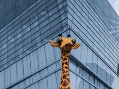 -上海乐高探索中心