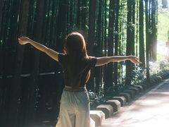 -山王坪喀斯特国家生态公园