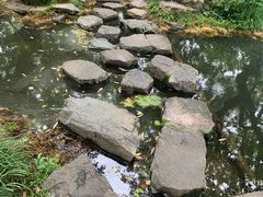 -西湖游船