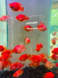 -新蝶变皮肤管理中心