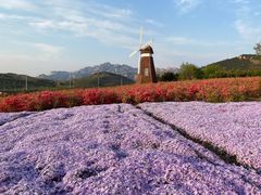 -西海岸生态观光园