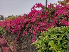 -鹅公村·国家非遗传承(荔湾店)