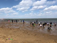 -天津东疆湾沙滩景区