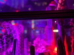 -贰麻酒馆(1912店)