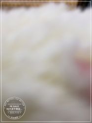 -PE SALON