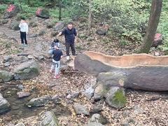 -香炉山国家森林公园