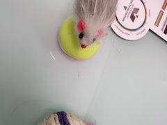 -宠福鑫康馨动物医院·骨科·眼科
