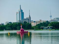 -莲花池公园