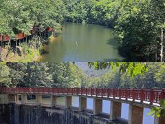 -洛阳白云山景区