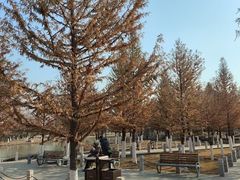 -汉梁文化公园