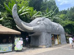 -野象谷景区