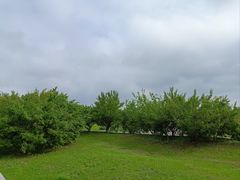 -莫子山公园