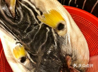 #河豚  1.处理起来比较费事，一定一定要多花时间