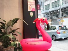 -Flamingo Bloom(TST /尖沙咀店)