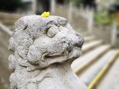 -西安大兴善寺