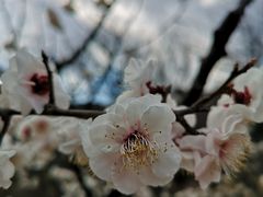 -北京鹫峰国家森林公园
