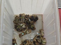 -蟹状元大闸蟹·年货·粽子(成都成华店)