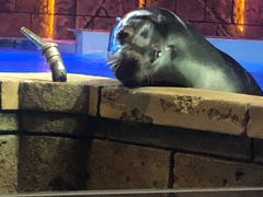 -波塞冬旅游度假区