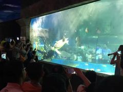-苏州海洋馆