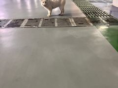 -安琳acKONA咖啡(市南店)