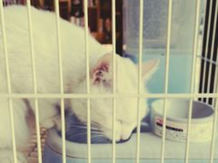 -熊猫邮局(少城店)
