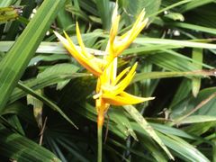 DSC00721_旋转-三亚亚龙湾金棕榈度假酒店