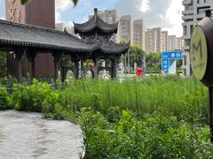 -证大喜玛拉雅中心