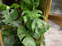 -玉林烤鸭店(垡头店)