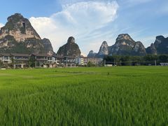 -明仕田园