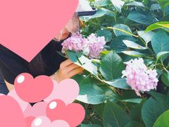-汇龙潭