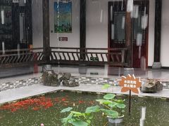 -陶辛水韵