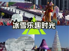 -沈阳奥体冰雪嘉年华