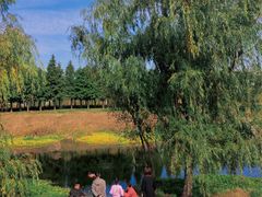 -羊亭河湿地公园