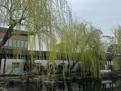-朱新年·苏式汤团·面点(北寺塔店)