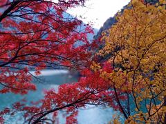 -叠溪松坪沟景区