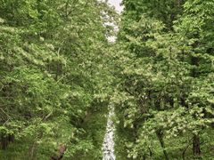 -黄海国家森林公园