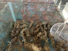 -四海蒸鲜蒸汽海鲜自助(北戴河店)