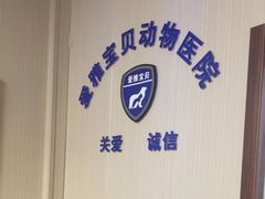 -中农大我爱我爱24h动物医院·中医针灸·猫专科·骨科医疗中心(双井店)
