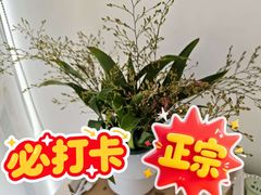 -邢老三肉丸糊辣汤·非遗美食(西安总店)