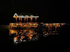 -上海市保健医疗中心