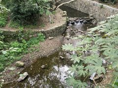 -灵隐飞来峰景区