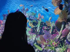 -暹罗海洋世界
