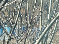 -龙熙温泉高尔夫俱乐部