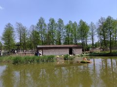 -宁波杭州湾国家湿地公园