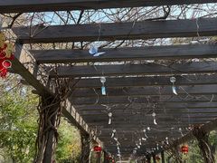 -白马涧龙池景区