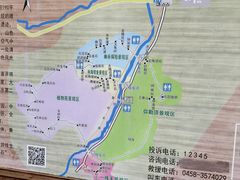 -汤旺河林海奇石景区
